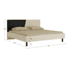 Fiona Engineered Wood Non Storage Bed in Light Wood Carbon Black Colour