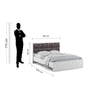 Axel Engineered Wood Queen Size Non Storage Bed In Frosty White Finish