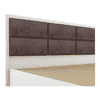 Axel Engineered Wood Queen Size Non Storage Bed In Frosty White Finish