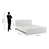 Kane Engineered Wood Queen Size Non Storage Bed In Frosty White Finish