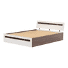 Pollo Engineered Wood Non Storage Bed In Wenge & White Finish