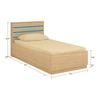 Paloma Engineered Wood Box Storage Bed in Colour