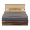 Alvin Queen Bed With Box Storage In Asian Walnut Color