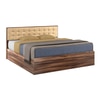 Alvin Queen Bed With Box Storage In Asian Walnut Color