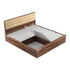 Alvin Queen Bed With Box Storage In Asian Walnut Color