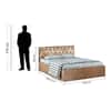 Orion Queen Bed With Box Storage