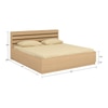 Paloma Engineered Wood Box Storage Bed in Colour
