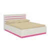 Paloma Engineered Wood Box Storage Bed in Pink Colour