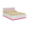 Paloma Engineered Wood Box Storage Bed in Pink Colour