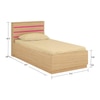 Paloma Engineered Wood Box Storage Bed in Colour