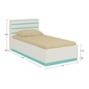 Paloma Engineered Wood Box Storage Bed in Colour