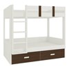 Adonica Engineered Wood Drawer Storage Bunk Bed Coffee Walnut