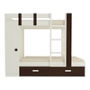 Evita Trundle Engineered Wood Box Storage Bunk Bed Coffee Walnut
