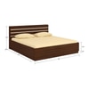 Paloma Engineered Wood Box Storage Bed in Colour