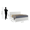 Alvin King Bed With Box Storage In Frosty White Color