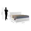 Alvin Engineered Wood Queen  Size Bed With Box Storage (Frosty White Finish, Frosty White Colour)