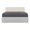 Alvin Engineered Wood Queen  Size Bed With Box Storage (Frosty White Finish, Frosty White Colour)