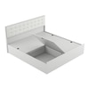 Alvin Engineered Wood Queen  Size Bed With Box Storage (Frosty White Finish, Frosty White Colour)