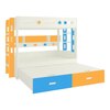 Astra Engineered Wood Box & Drawer Storage Bunk Bed Mango Yellow Azure Blue