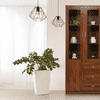 Essence Display Unit