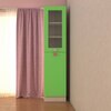 Petite Engineered Wood  Bookshelf in Verdant Green Finish