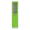 Petite Engineered Wood  Bookshelf in Verdant Green Finish