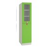Petite Engineered Wood  Bookshelf in Verdant Green Finish