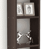 Walten Engineered Wood Bookshelf in Wenge Finish