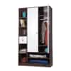 Allie Engineered Wood 2 door Wardrobe in Matte Finish