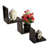 BLUEWUD Aaron Engineered Wood Multipurpose Wall Decor Shelf, Display Rack (Wenge)
