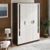 Bluewud Andrie 3 Door Wardrobe with Drawer