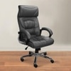 Araceli Ergonomic chair