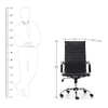 Asha Ergonomic chair