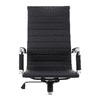 Asha Ergonomic chair