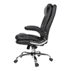 Ziva Ergonomic chair