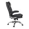 Ziva Ergonomic chair