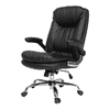 Ziva Ergonomic chair