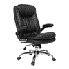 Ziva Ergonomic chair