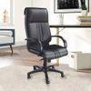 Akila Ergonomic chair
