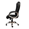 Eleora Ergonomic chair