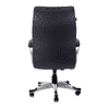 Asta Ergonomic chair