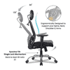 Gabriel Net Swivel Study Chair in Black Colour