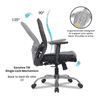 Corey Net Swivel Study Chair in Black Colour