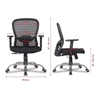Anderson Net Swivel Study Chair in Black Colour