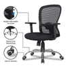 Anderson Net Swivel Study Chair in Black Colour