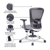 Jamie Net Swivel Study Chair in Black Colour