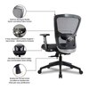 Vance Net Swivel Study Chair in Black Colour