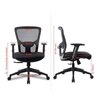Vance Net Swivel Study Chair in Black Colour