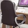 Basha Ergonomic chair