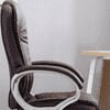 Basha Ergonomic chair